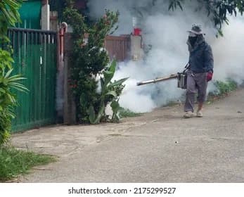 Fumigación de mosquitos en Guadalajara: guía de temporada de lluvias