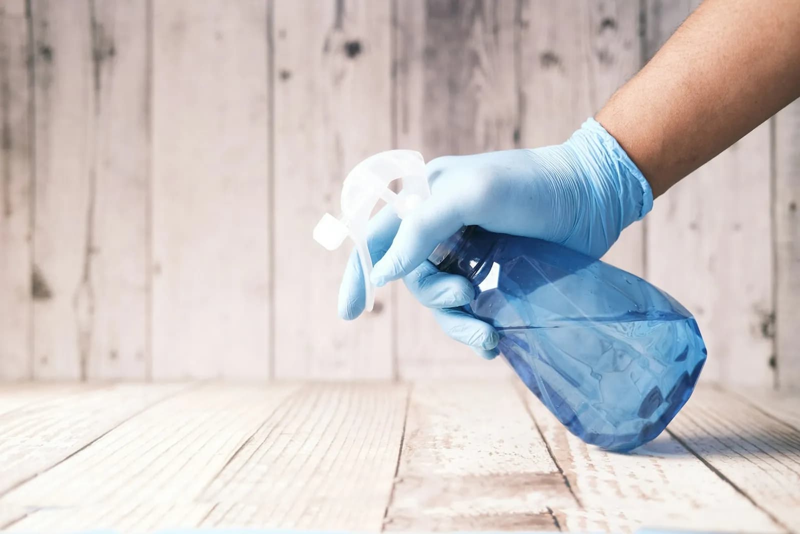 ¿Fumigación casera o profesional para garrapatas? Comparativa